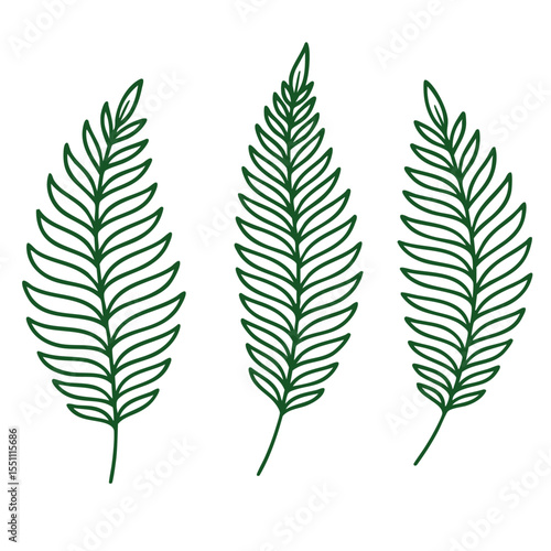fern lineart green 