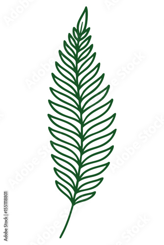 green fern lineart