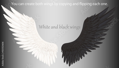 ベクター　コピー＆反転でそれぞれ両翼に出来る白い翼と黒い翼の片翼セット