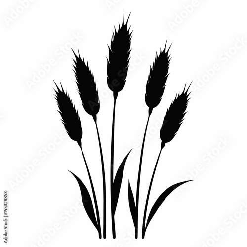 Silhouette of tall seasonal grass with fluffy seed plumes on a white background