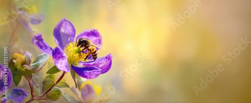 The vibrant purple flower attracting a busy bee in a serene garden setting.