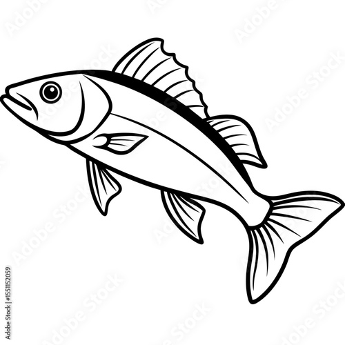 Elegant Zander Fish Line Sketch Vector