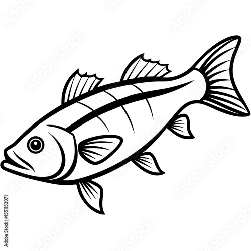 Elegant Zander Fish Line Sketch Vector