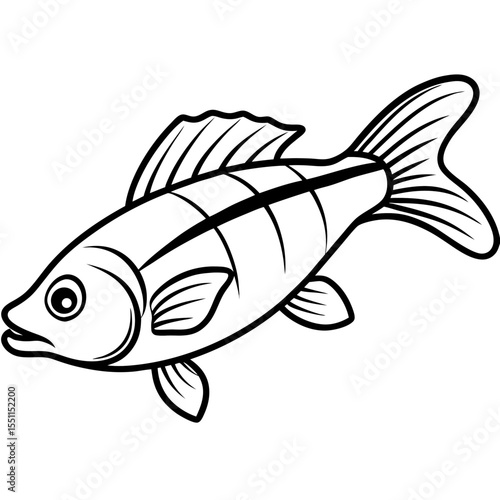 Elegant Zander Fish Line Sketch Vector