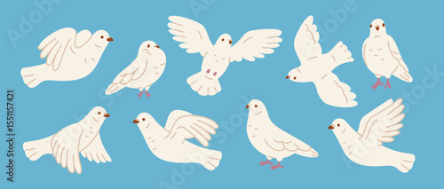 Cartoon white pigeons. City doves in different poses, beautiful wedding symbol, faith, love and peace flying birds, cute funny featheries, freedom character, isolated garish vector set