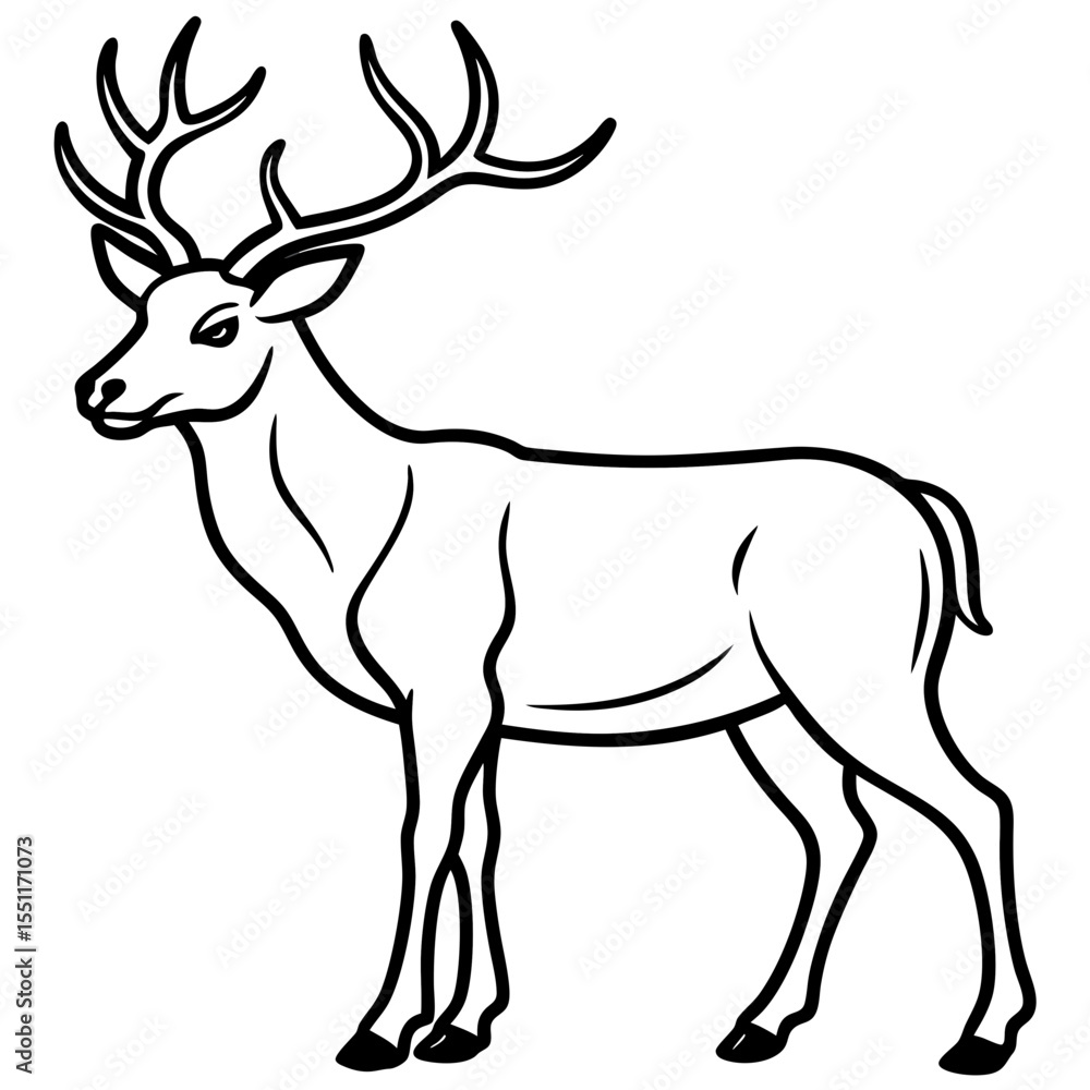 Fototapeta premium Forest Creatures Line Art Wapiti & Vole