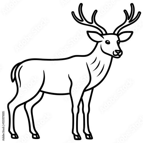Forest Creatures Line Art Wapiti & Vole