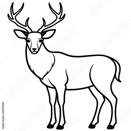 Forest Creatures Line Art Wapiti & Vole