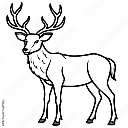 Forest Creatures Line Art Wapiti & Vole