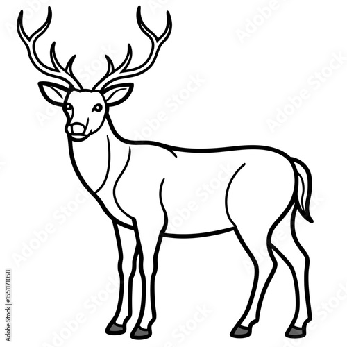 Forest Creatures Line Art Wapiti & Vole