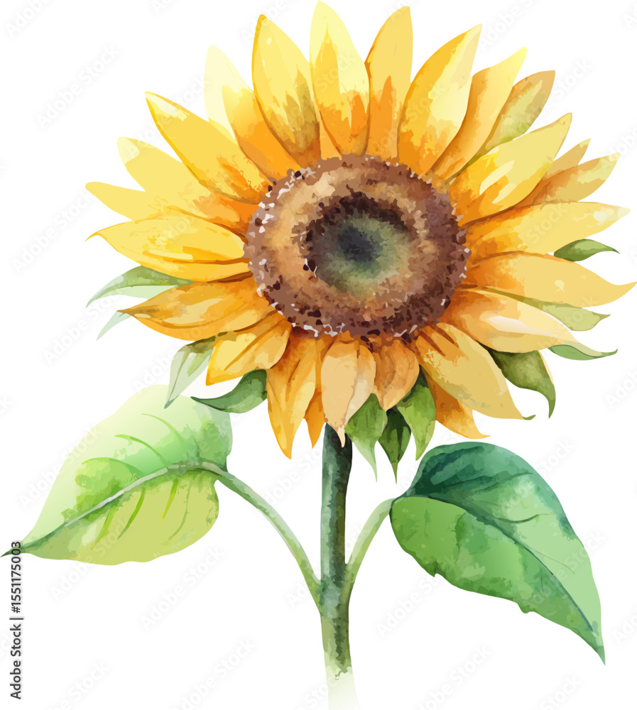 Naklejka premium Sunflower Yellow Flower Watercolor Hand Painted Vector Illustration