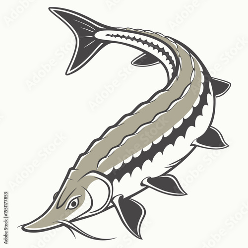 Stylized illustration of a sturgeon fish with distinctive bony plates pattern
