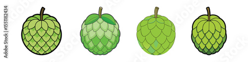 Sugar Apple Flat Style Tropical Fruit Vector Illustration