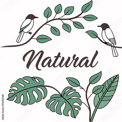 Elegant nature illustration featuring birds, leaves and the word 'natural'