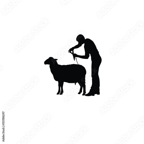 Silhouette of a person shearing wool from a sheep on white background
