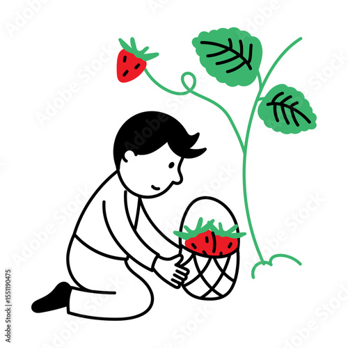A hand drawn style illustration of picking strawberries
