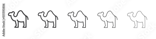 Camel icon outline ilustration vector symbol