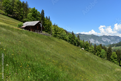 Landwirtschaftlich genutzte Hütte oder Stall zwischen Almwiese und Wald in den Schweizer Bergen