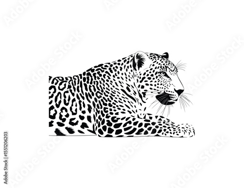 Leopard sitting vector in black coor with white background.