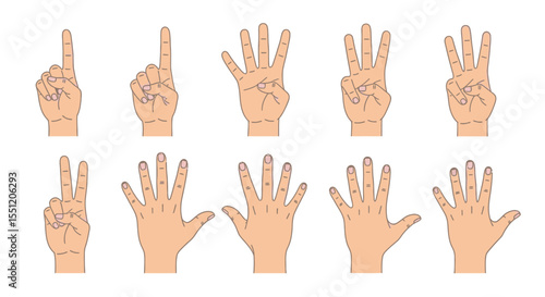 Ten Hands Displaying Numbers One Through Five: A Set of Line Art Illustrations