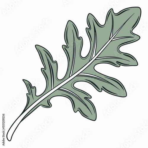 Artistic depiction of a single arugula leaf with distinctive lobed edges