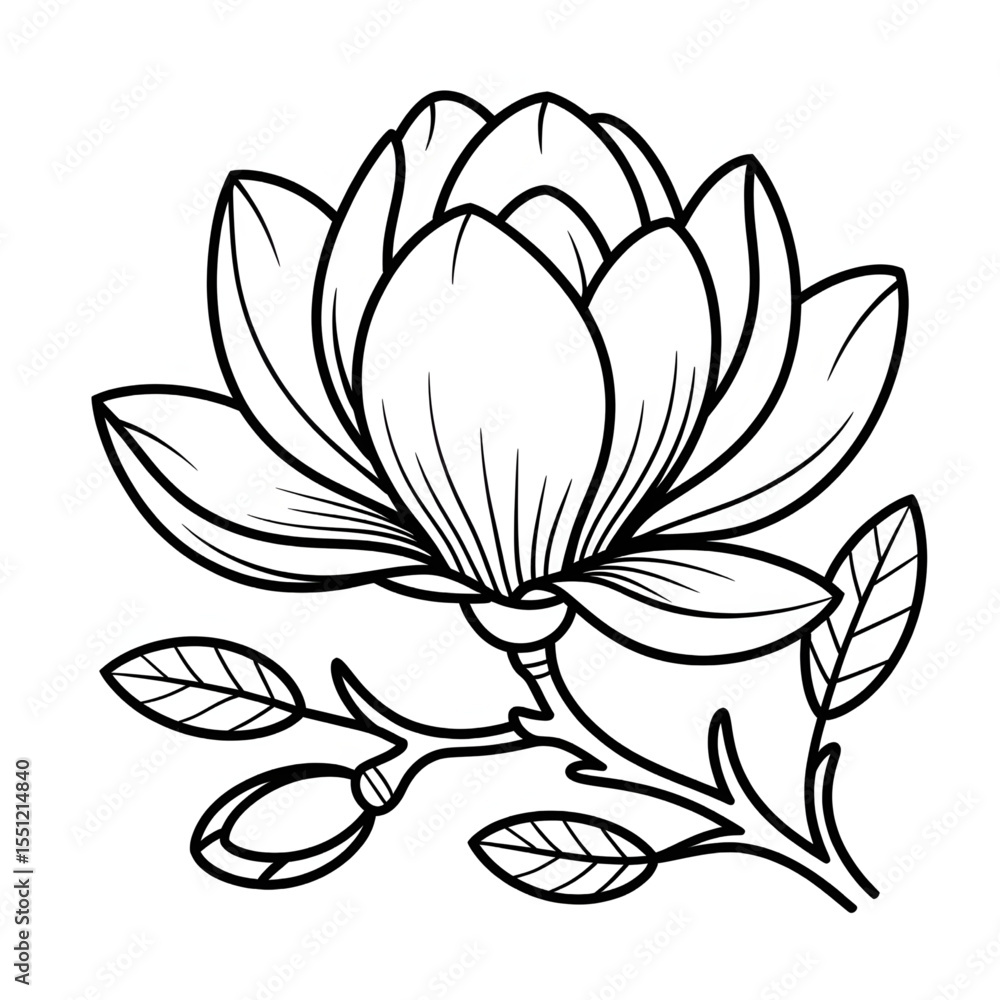Fototapeta premium Magnolia beautiful flower illustration vector coloring page