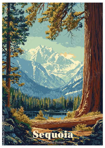 Sequoia National Forest Vector Illustration.