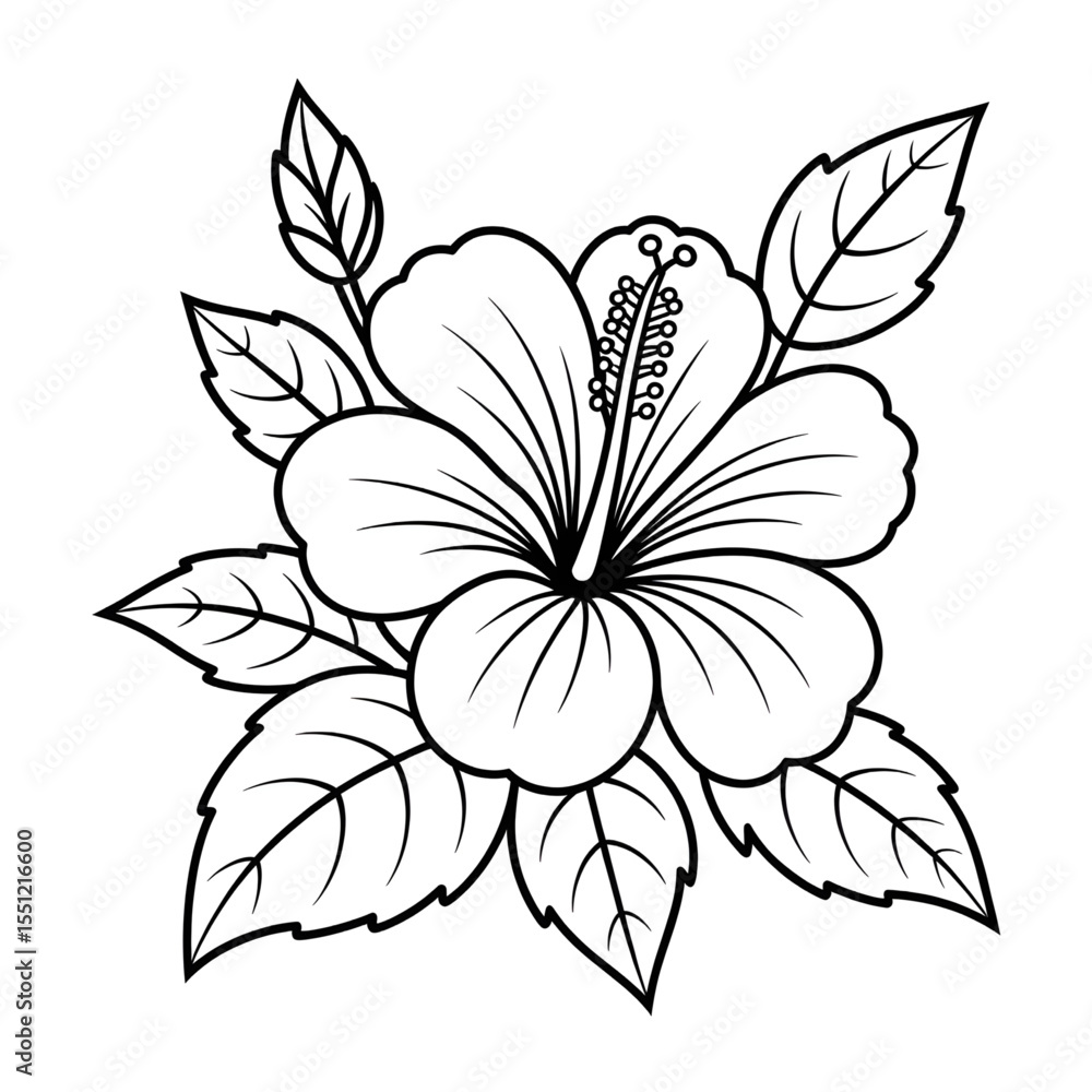A beautiful line drawing of a hibiscus flower coloring page A beautiful line drawing of a hibiscus flower coloring page