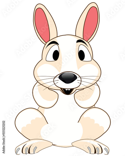 Cartoon animal hare on white background is insulated