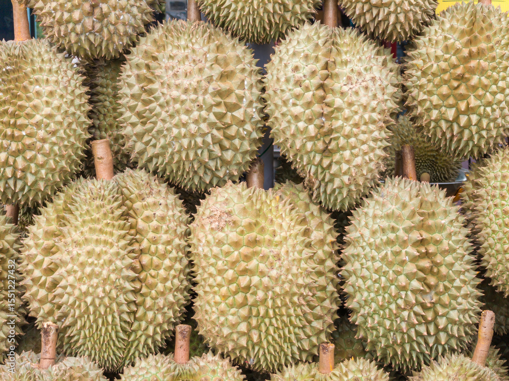 Close-up of durian or Durio zibethinus pile. Popular Southeast Asia Close-up of durian or Durio zibethinus pile. Popular Southeast Asia