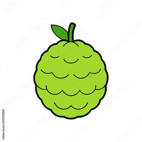 custard apple fruit on white background   .svg