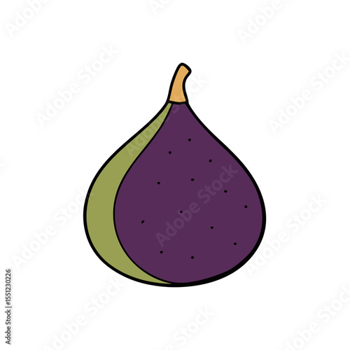 fig fruit on white background   .svg