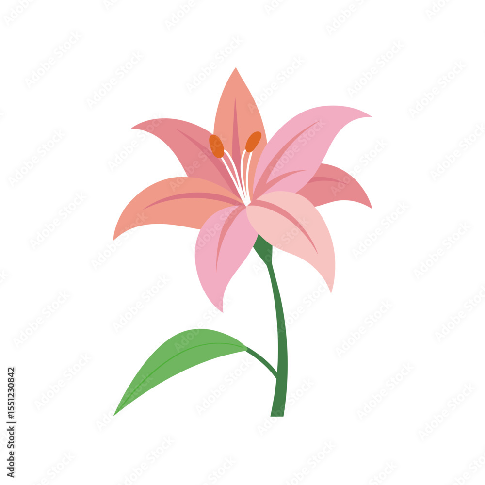 Naklejka premium lily flower full concept on white background .svg
