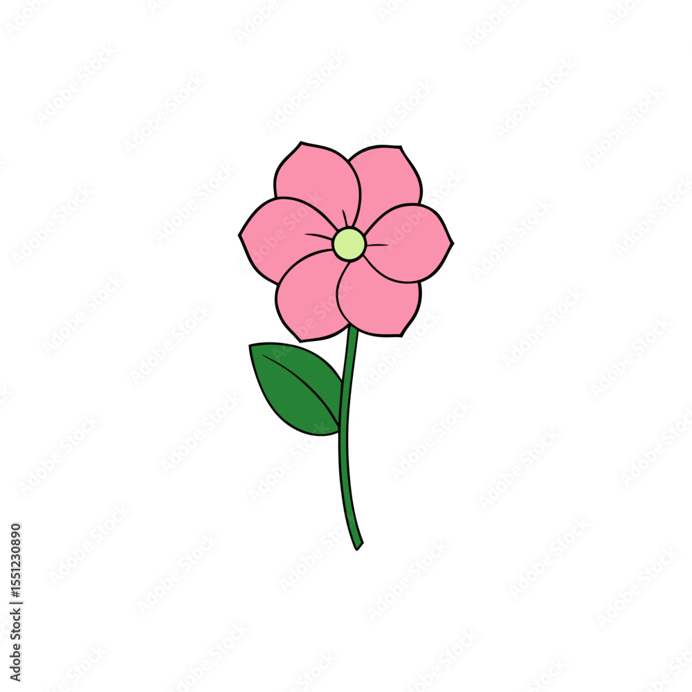 Fototapeta premium mallow flower full concept on white background .svg