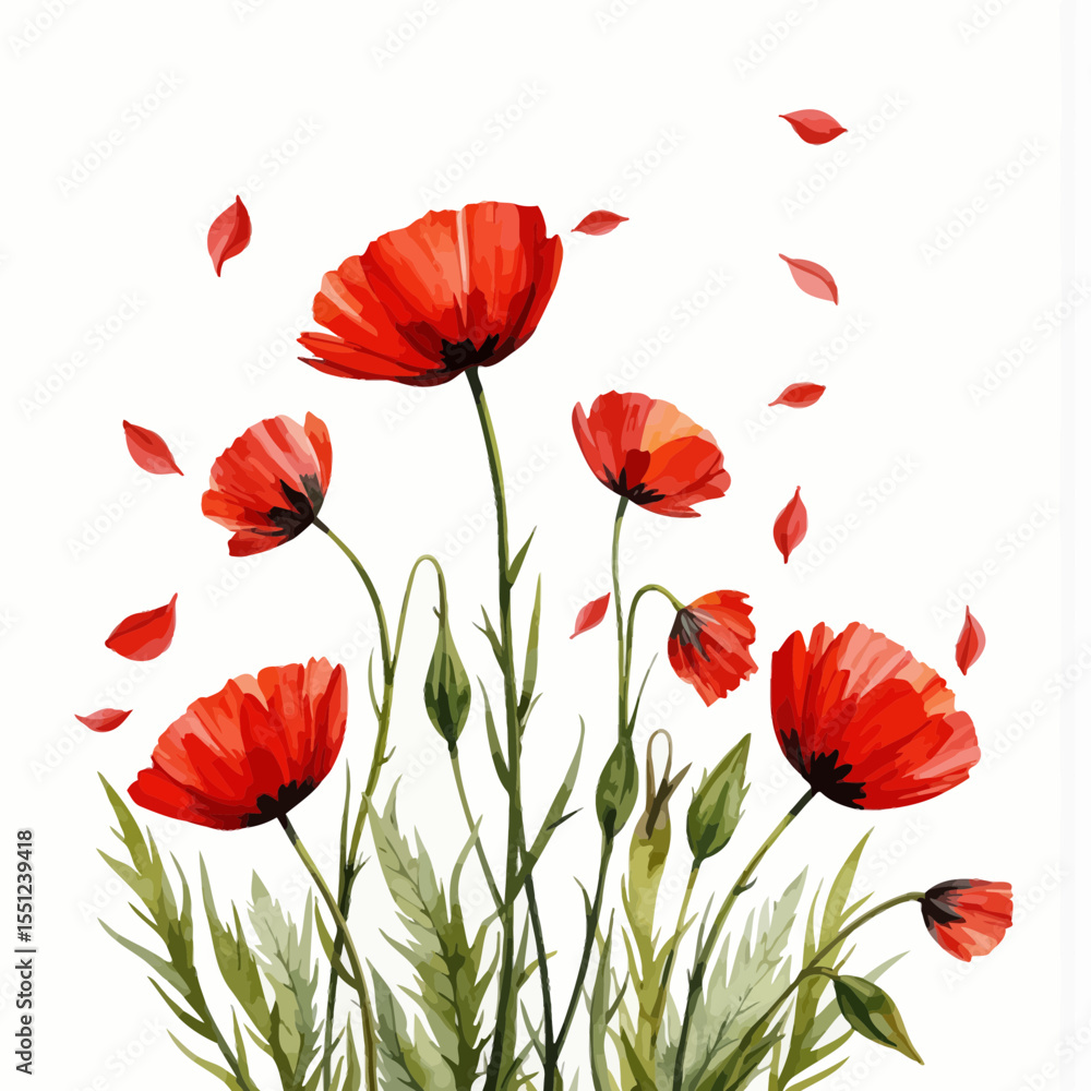 Naklejka premium Red poppy flowers with green leaves and falling petals on white background 