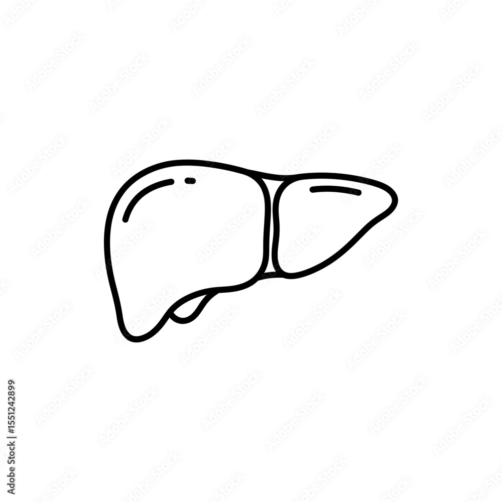 Black line icon of human liver with defined lobes and anatomical accuracy Black line icon of human liver with defined lobes and anatomical accuracy