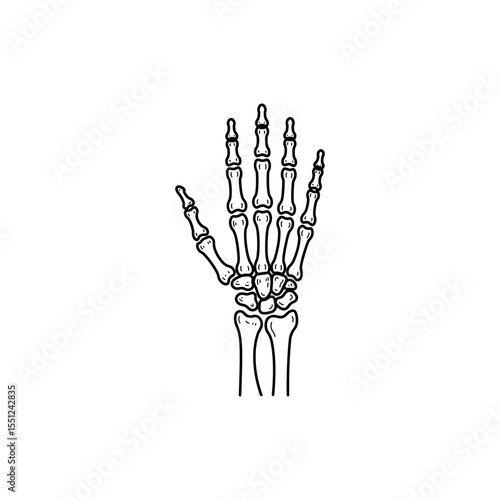 Black line icon of human hand bones from palm view including phalanges and carpals