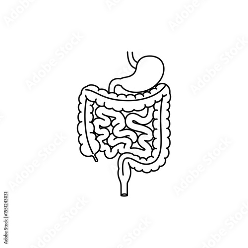 Black line icon of coiled intestines showing large intestine surrounding small intestine loops