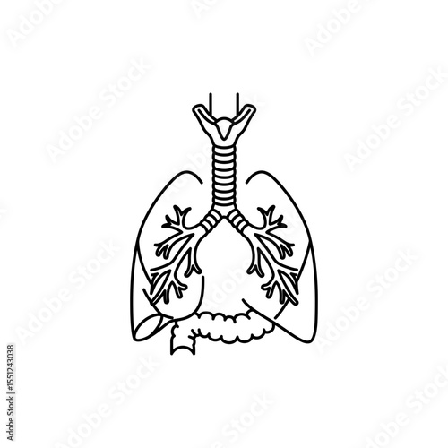 Black line icon of human trachea as vertical tube with cartilage rings and airway structure