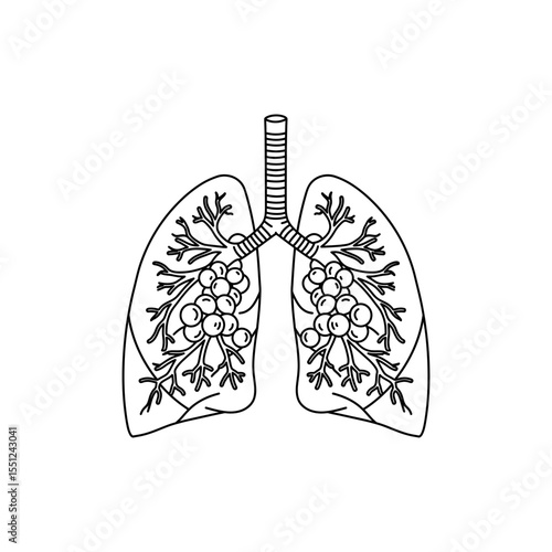 Outlined icon of alveoli connected to bronchial tube symbolizing lung function