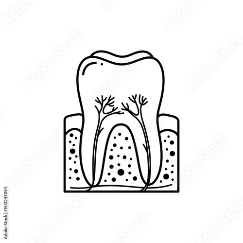 Black thin line icon of tooth cross-section showing enamel dentin and pulp layers