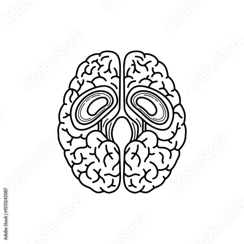 Outlined icon of brain ventricles shown as hollow internal cavities in human head
