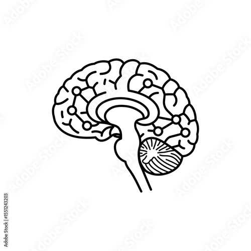Black line icon of sagittal brain view with central thalamus detail