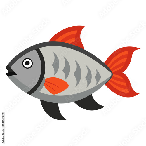 Common Tilapia Fish Vector Graphic