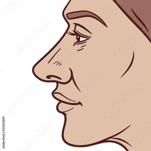 Profile view of a woman s face showing facial features