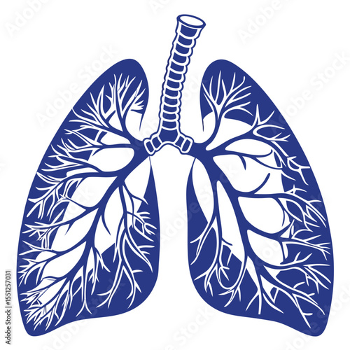 Detailed stylized human lungs illustration isolated on white background