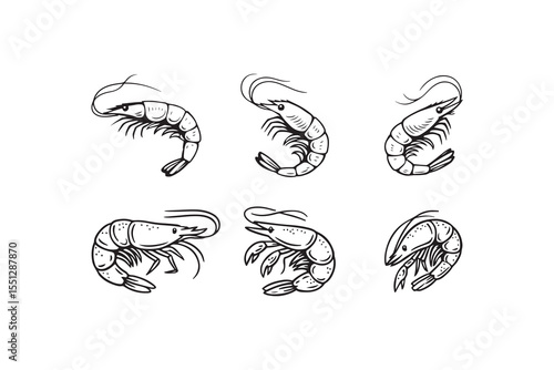 Shrimp vector illustration collection. Suitable for logos, outdoor designs, stickers and t-shirt designs.