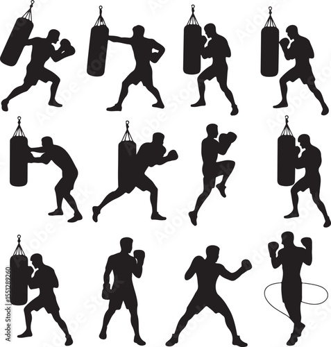Boxer Throwing a Punch Silhouette

Champion in the Ring Vector Design

Boxer in Fighting Stance Silhouette

Boxing Match Action Silhouette Scene

Gloved Fighter Training Vector Art