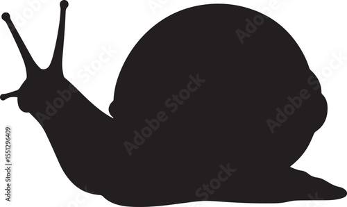 Vector art of simple black snail silhouette isolated on white background