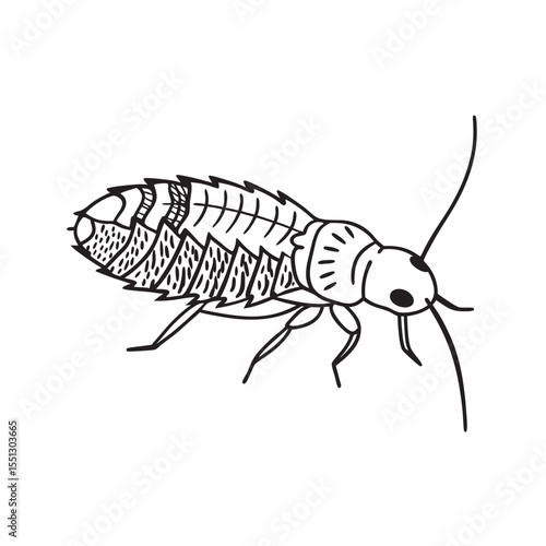 line art of bark louse on the white background